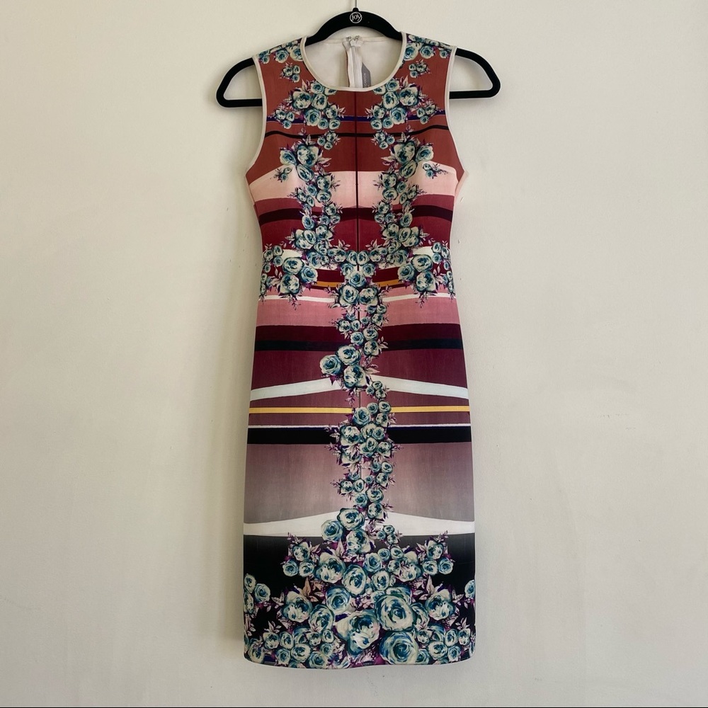 Pink Clover Canyon Dress